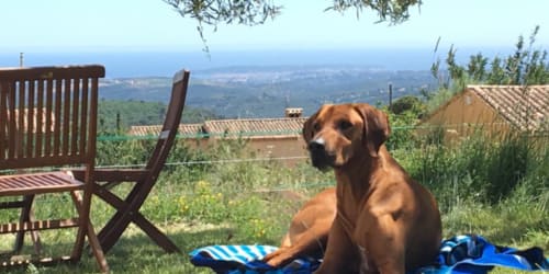 Honden welkom - Chateau d'Eau - Tourrettes-sur-Loup