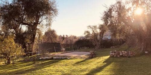 tuin achterzijde - Vakantiehuis Frankrijk Tourrettes-sur-Loup