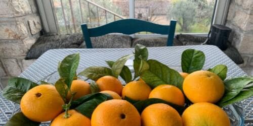 Sinaasappels uit eigen Tuin - Chateau d'Eau - Tourrettes-sur-Loup